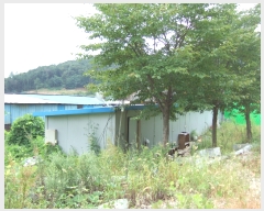  2018Ÿ10339   ϻ굿 縮 642-23      ()