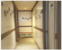  2019Ÿ1993  Ǳ Ÿ 1433-37       ڽü,,ȣ,