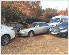  2019Ÿ8079 (¿) Ư ʱ ︻ 130-4      