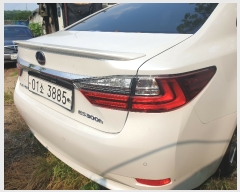  2019Ÿ��104304 (�¿���) ����Ư���� ���ʱ� ���︻�� 1-593      �������