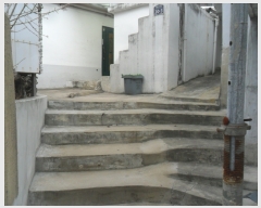  2019Ÿ��101564 ���� ���ϱ� ������ 431-8       ���ð��