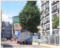  2019Ÿ4830   з 212-11,  8802ȣ     Ʈ