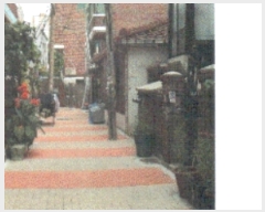  2019Ÿ��6126 ���� ���빮�� ��ʸ��� 269-8       ���ð��