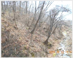  2019Ÿ��6631 ��� ��õ�� �źϸ� ���� ��61      ����(�Ӿ�)���