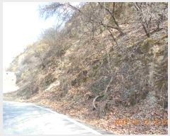  2019Ÿ��6631 ��� ��õ�� �źϸ� ���� ��61      ����(�Ӿ�)���