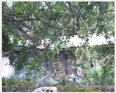  2019Ÿ��18061 ��� ��õ�� �̵��� ��� 947-2      ���ð��