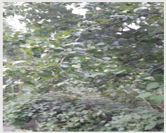  2019Ÿ��18061 ��� ��õ�� �̵��� ��� 947-2      ���ð��