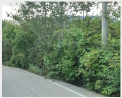  2019Ÿ��18061 ��� ��õ�� �̵��� ��� 947-2      ���ð��