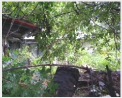  2019Ÿ��18061 ��� ��õ�� �̵��� ��� 947-2      ���ð��