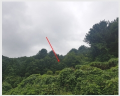  2019Ÿ83232   Ǹ ̸ 524      (Ӿ)