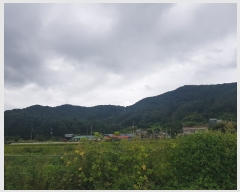  2019Ÿ83232   Ǹ ̸ 524      (Ӿ)