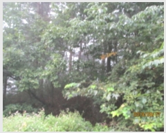  2019Ÿ83232   Ǹ ̸ 524      (Ӿ)