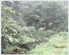  2019Ÿ83232   Ǹ ̸ 524      (Ӿ)