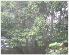  2019Ÿ83232   Ǹ ̸ 524      (Ӿ)