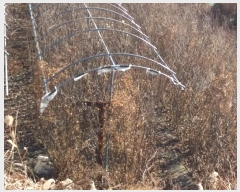  2019Ÿ��12369 ��õ ���� �ҷε� 59-1       ����(��)���