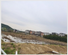  2019Ÿ��12369 ��õ ���� �ҷε� 59-1       ����(��)���