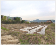  2019Ÿ��12369 ��õ ���� �ҷε� 59-1       ����(��)���