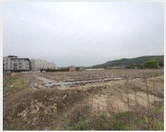  2019Ÿ��12369 ��õ ���� �ҷε� 59-1       ����(��)���