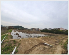  2019Ÿ��12369 ��õ ���� �ҷε� 59-1       ����(��)���