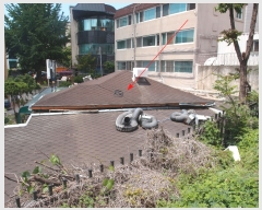  2019Ÿ��17012 ��õ ������ ���õ� 541-2       ����(����)���