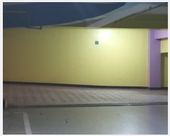  2019Ÿ36525 õ  û 26       ٸü,󰡰