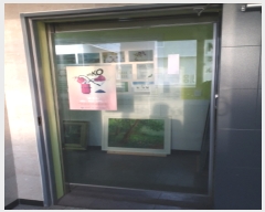  2019Ÿ36525 õ  û 26       ٸü,󰡰