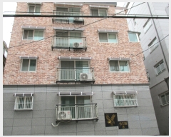  2019Ÿ550  õ Ȱ205 38,  5501ȣ (ȵ,)    ټ,