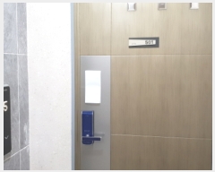  2019Ÿ550  õ Ȱ205 38,  5501ȣ (ȵ,)    ټ,