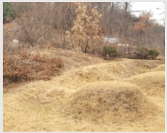  2019Ÿ31912     20-5      (Ӿ)