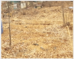  2019Ÿ31912     20-5      (Ӿ)