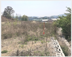  2019Ÿ��9421 ��� ȭ���� �Ⳳ�� ���丮 195-17      ����(�Ӿ�)���