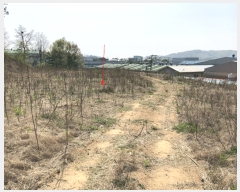  2019Ÿ��9421 ��� ȭ���� �Ⳳ�� ���丮 195-17      ����(�Ӿ�)���