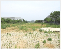  2019Ÿ��11844 ��� ȭ���� ������ ȭ�긮 364-40      ����(�Ӿ�)���