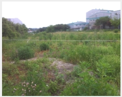  2019Ÿ��11844 ��� ȭ���� ������ ȭ�긮 364-40      ����(�Ӿ�)���