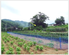  2019Ÿ��16078 ��� ���ν� ó�α� ������ �۹��� ��75     ����(�Ӿ�)���