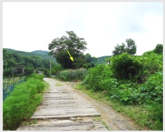  2019Ÿ��16078 ��� ���ν� ó�α� ������ �۹��� ��75     ����(�Ӿ�)���