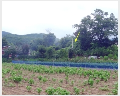  2019Ÿ��16078 ��� ���ν� ó�α� ������ �۹��� ��75     ����(�Ӿ�)���