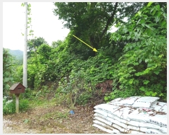  2019Ÿ��16078 ��� ���ν� ó�α� ������ �۹��� ��75     ����(�Ӿ�)���