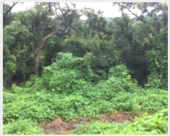  2019Ÿ��16078 ��� ���ν� ó�α� ������ �۹��� ��75     ����(�Ӿ�)���