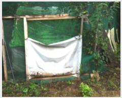  2019Ÿ��16078 ��� ���ν� ó�α� ������ �۹��� ��75     ����(�Ӿ�)���