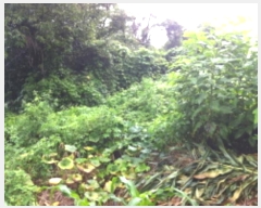  2019Ÿ��16078 ��� ���ν� ó�α� ������ �۹��� ��75     ����(�Ӿ�)���