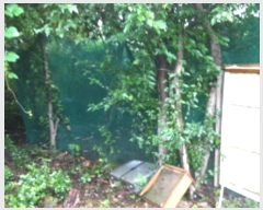  2019Ÿ��16078 ��� ���ν� ó�α� ������ �۹��� ��75     ����(�Ӿ�)���