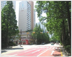  2019Ÿ508027   뱸 ſ310 27, 642 101001ȣ (뵿,ſƮ)   Ʈ