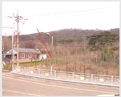  2019Ÿ6361  ȭ Ÿ  162-5      (1)