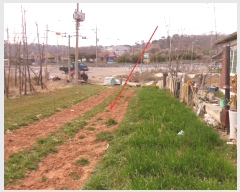  2019Ÿ6361  ȭ Ÿ  162-5      (1)