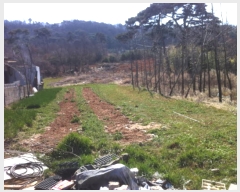  2019Ÿ6361  ȭ Ÿ  162-5      (1)