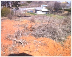  2019Ÿ6361  ȭ Ÿ  162-5      (1)