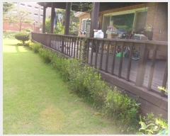  2019Ÿ��17880 ��� ���ν� ó�α� ������ �ıݸ� 81-13     ���ð��