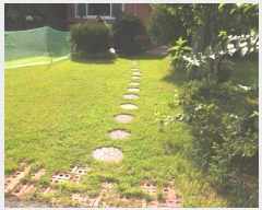  2019Ÿ��17880 ��� ���ν� ó�α� ������ �ıݸ� 81-13     ���ð��