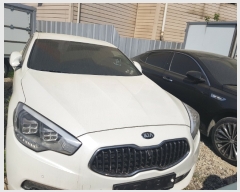  2019Ÿ8169 (¿) ⵵   95      